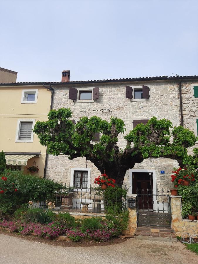 Casa Girasole Villa Buje Exterior photo