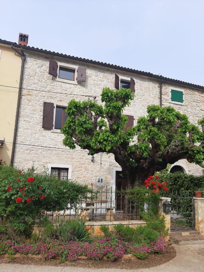 Casa Girasole Villa Buje Exterior photo